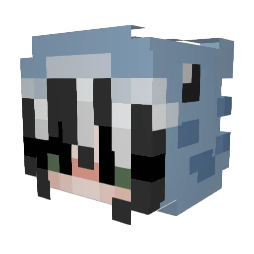 TheShonk Minecraft avatar head, 3D render