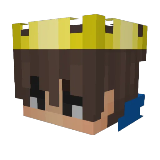 TheShredder38 Minecraft avatar head, 3D render
