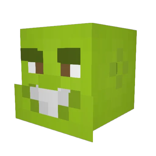 TheShrekining Minecraft avatar head, 3D render