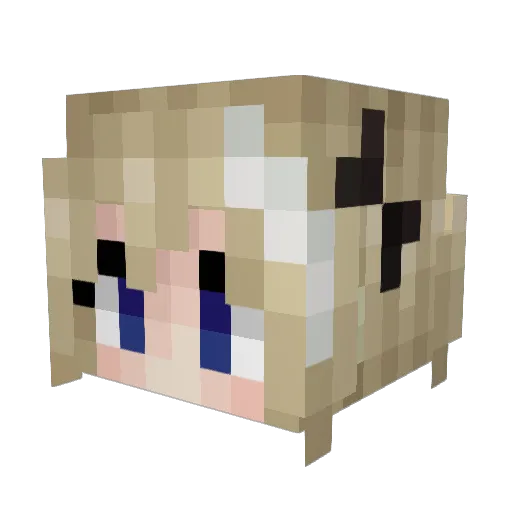 TheShrew Minecraft avatar head, 3D render