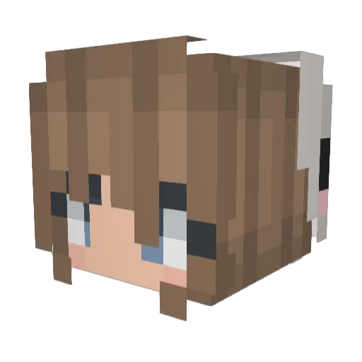 TheSickBeertje Minecraft avatar head, 3D render