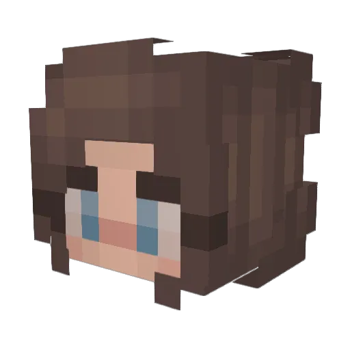 TheSilentHawke Minecraft avatar head, 3D render