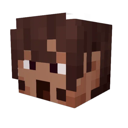 TheSilverDreams Minecraft avatar head, 3D render