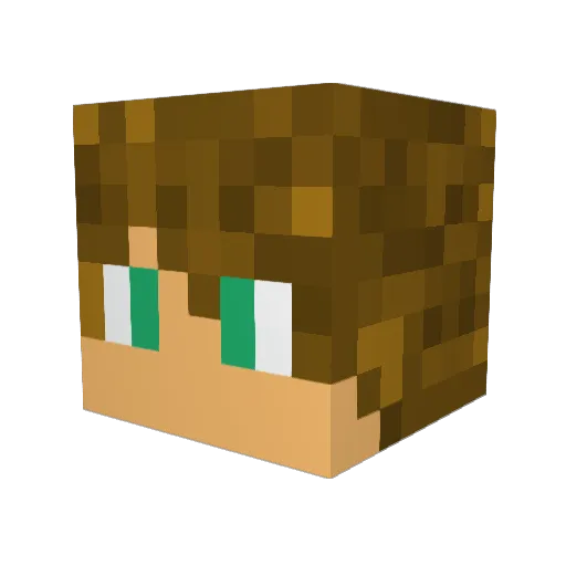 TheSilverWolf420 Minecraft avatar head, 3D render