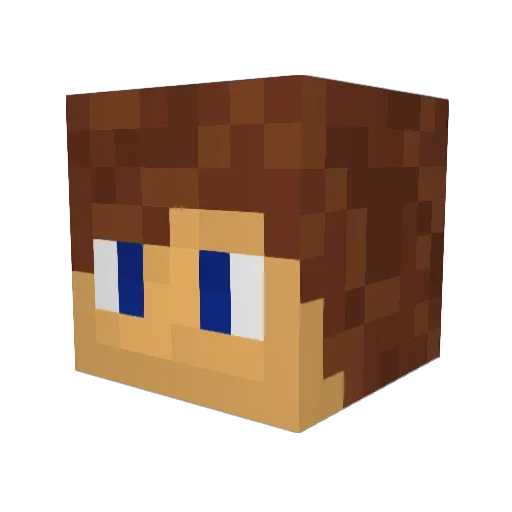 TheSimse Minecraft avatar head, 3D render