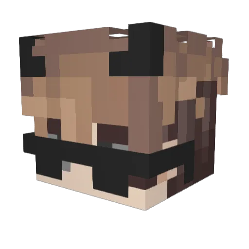 TheSirdragonfly Minecraft avatar head, 3D render
