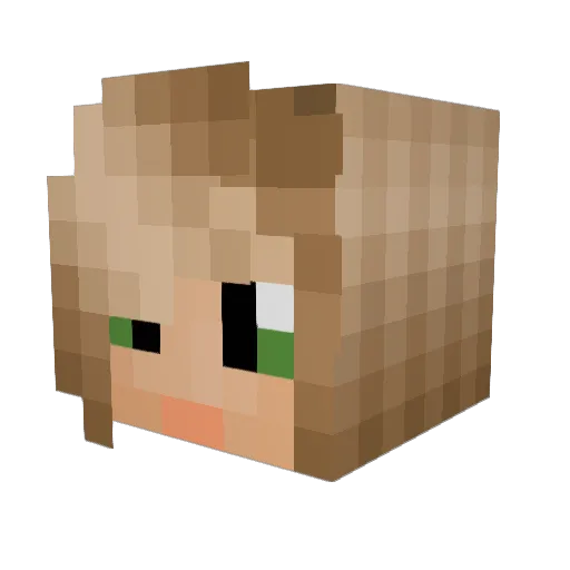TheSkimmer Minecraft avatar head, 3D render