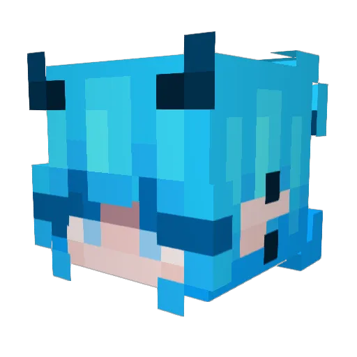 TheSkinnyHippo Minecraft avatar head, 3D render
