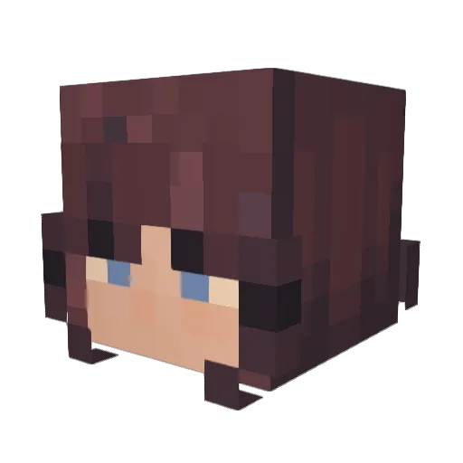 TheSkreeBat Minecraft avatar head, 3D render