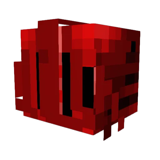 TheSkullSlayer Minecraft avatar head, 3D render