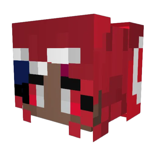 TheSkymann2401 Minecraft avatar head, 3D render