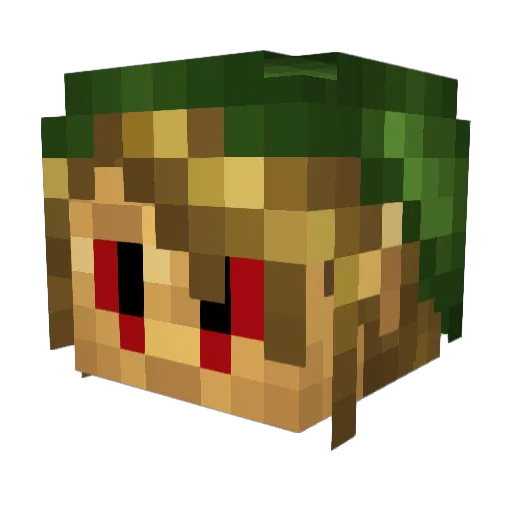 TheSkysNight Minecraft avatar head, 3D render