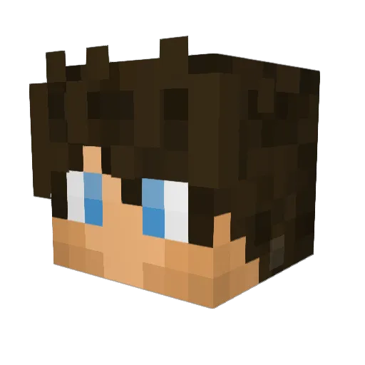 TheSlackAssassin Minecraft avatar head, 3D render