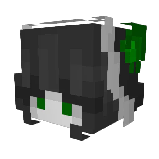 TheSlimePrincess Minecraft avatar head, 3D render