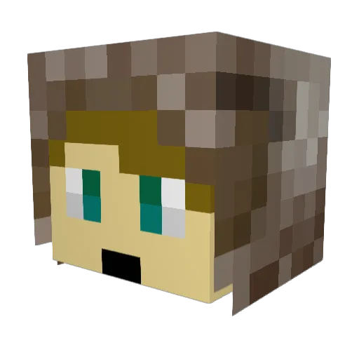 TheSlothGamer53 Minecraft avatar head, 3D render