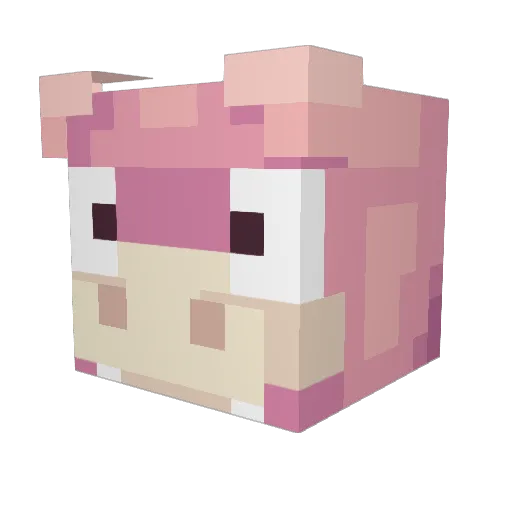 TheSlow1 Minecraft avatar head, 3D render