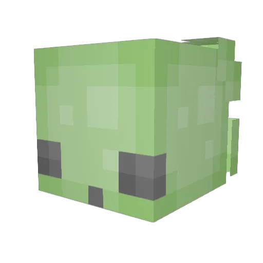 TheSludgyGamer Minecraft avatar head, 3D render