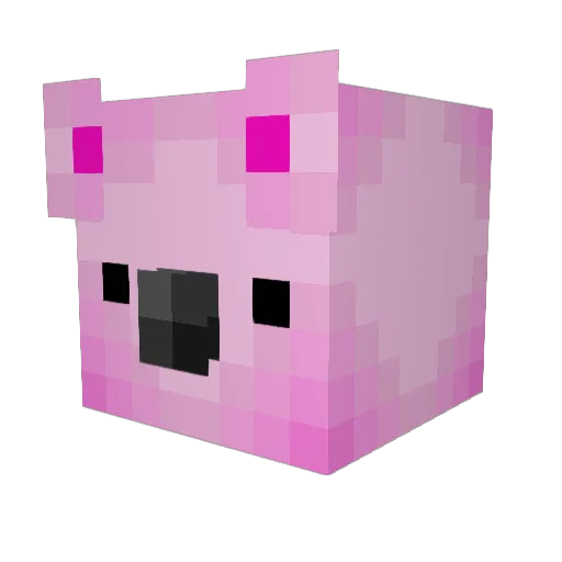 TheSlySloth Minecraft avatar head, 3D render