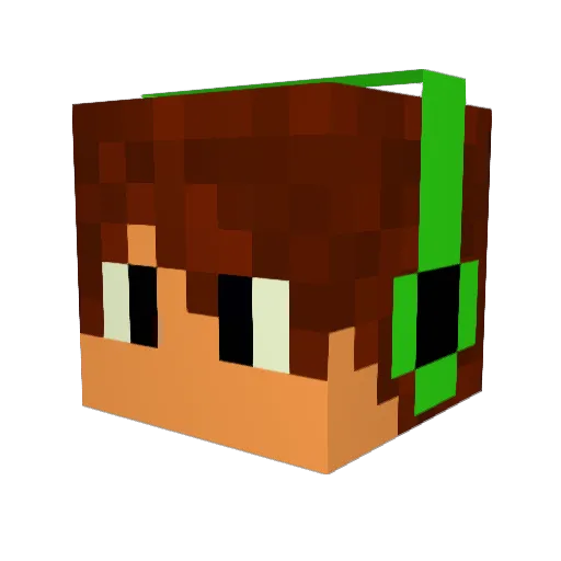 TheSnackJoker Minecraft avatar head, 3D render