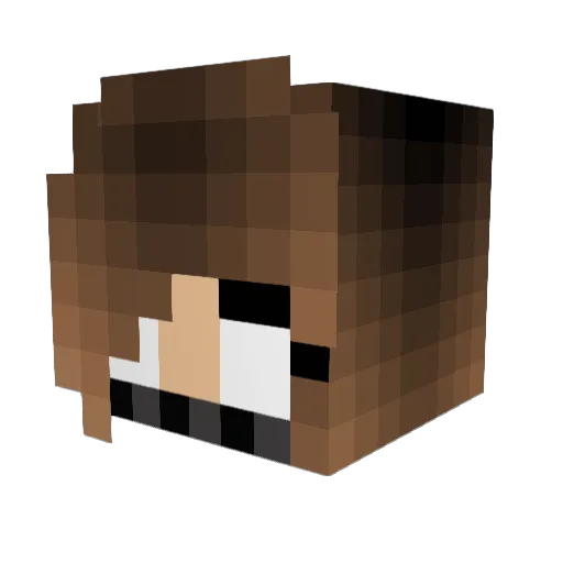 TheSnout0701 Minecraft avatar head, 3D render