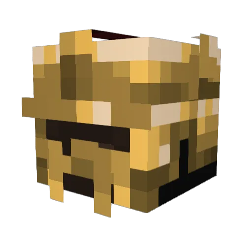 TheSodFather Minecraft avatar head, 3D render