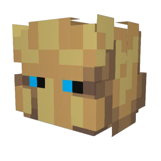 TheSodo_ Minecraft avatar head, 3D render