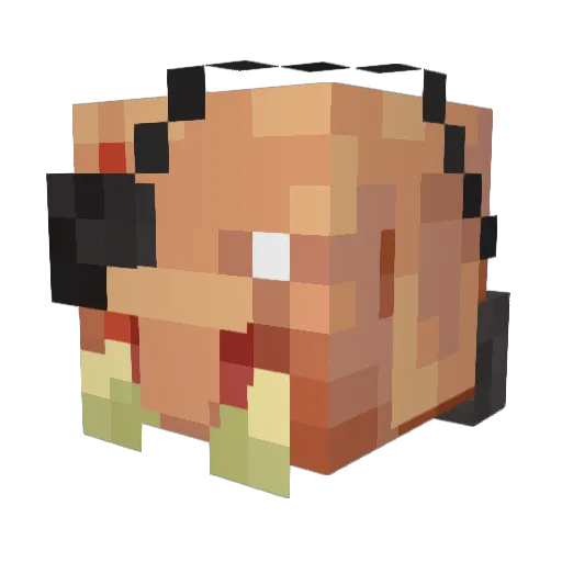 TheSoel Minecraft avatar head, 3D render