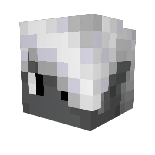TheSolMan13 Minecraft avatar head, 3D render