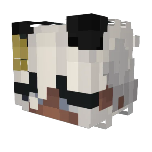 TheSolarrEclipse Minecraft avatar head, 3D render