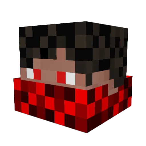 TheSoupWolf Minecraft avatar head, 3D render