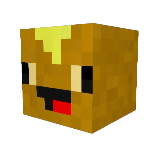 TheSouthChin Minecraft avatar head, 3D render