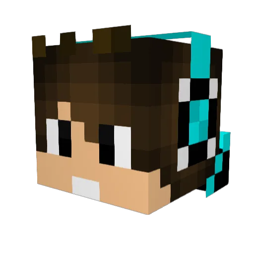 TheSpacebar5180 Minecraft avatar head, 3D render