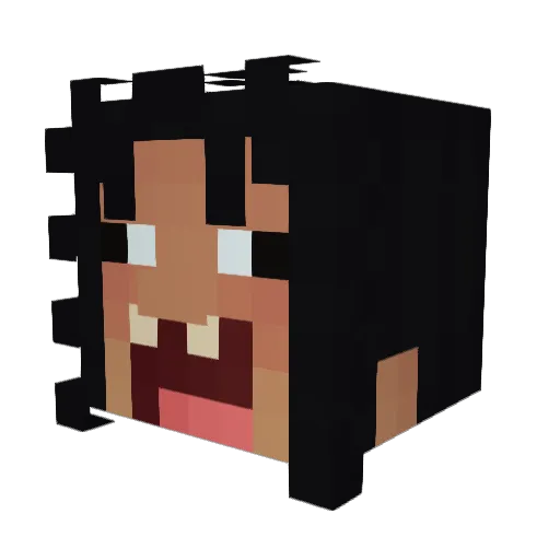 TheSpecter10103 Minecraft avatar head, 3D render