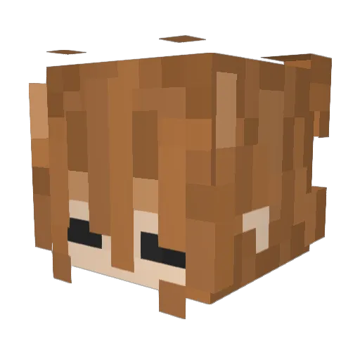 TheSpecterMax Minecraft avatar head, 3D render