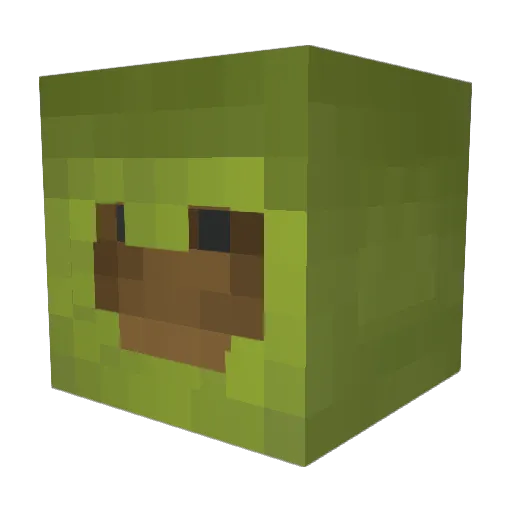 TheSpiderMans Minecraft avatar head, 3D render