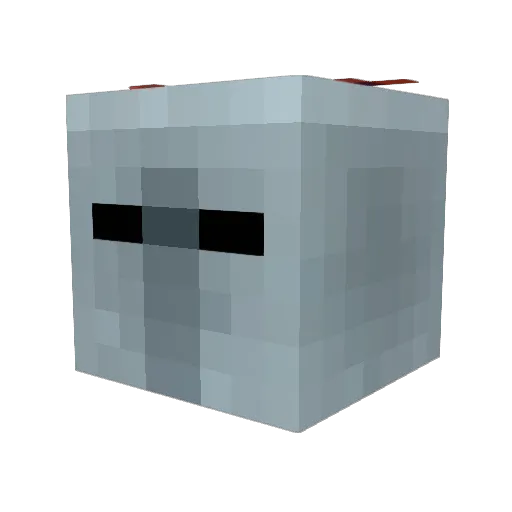 TheSquidBird Minecraft avatar head, 3D render
