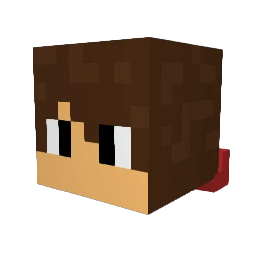 TheSquidYT Minecraft avatar head, 3D render
