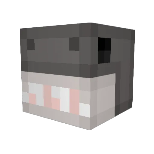 TheSquidith Minecraft avatar head, 3D render