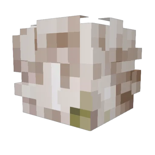 TheStarWolf Minecraft avatar head, 3D render
