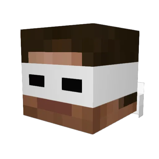 TheStealthNinja8 Minecraft avatar head, 3D render