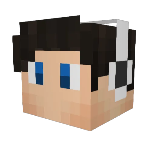 TheStick923 Minecraft avatar head, 3D render