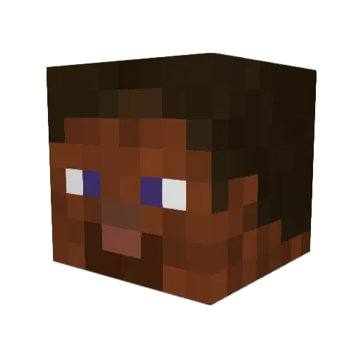 TheStingRay1336 Minecraft avatar head, 3D render
