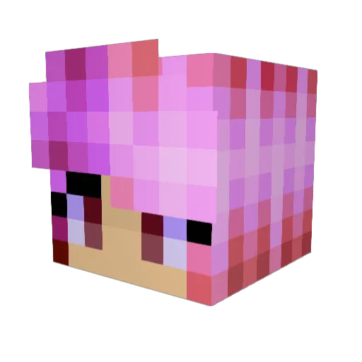 TheStokedRat Minecraft avatar head, 3D render