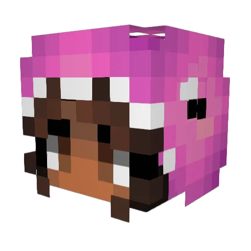 TheStooz Minecraft avatar head, 3D render