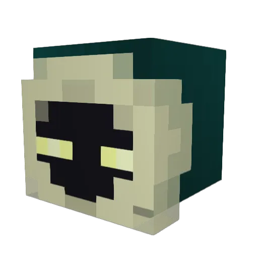 TheStormRunnerz Minecraft avatar head, 3D render