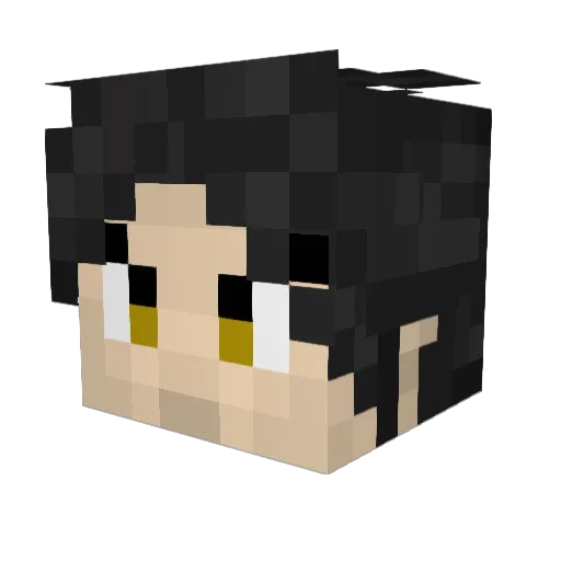 TheStoryOfJay Minecraft avatar head, 3D render