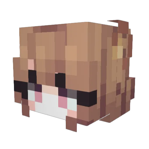 TheStrangeOnee Minecraft avatar head, 3D render