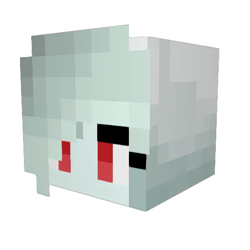 TheSummer06 Minecraft avatar head, 3D render