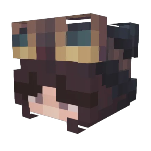 TheSuperLulu Minecraft avatar head, 3D render