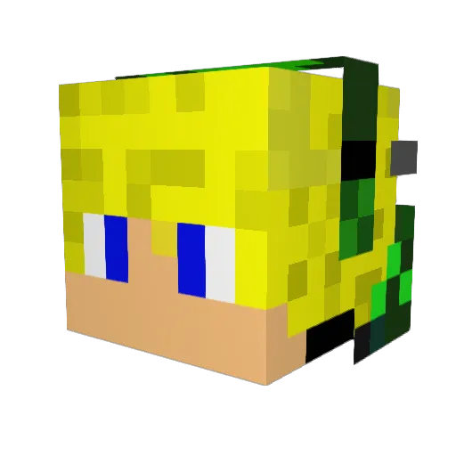 TheSuperNova007 Minecraft avatar head, 3D render